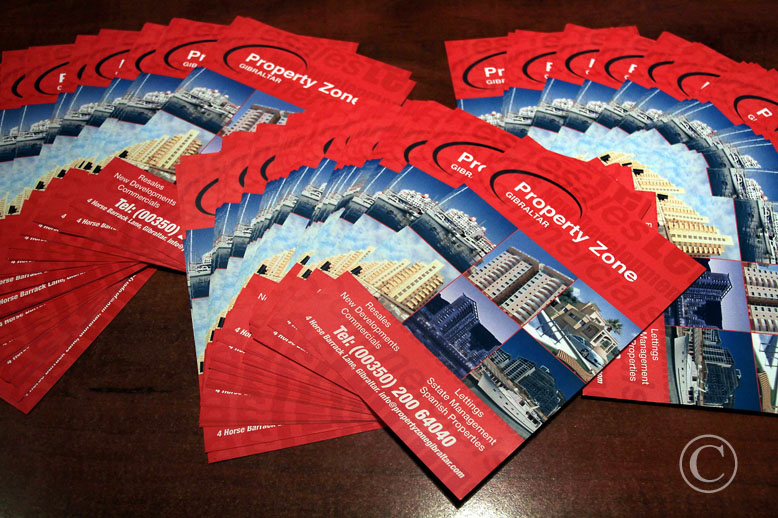 Property Zone leaflets